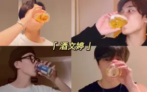 下载视频: 【SEVENTEEN】成年豆与直播与酒｜bilibili干杯