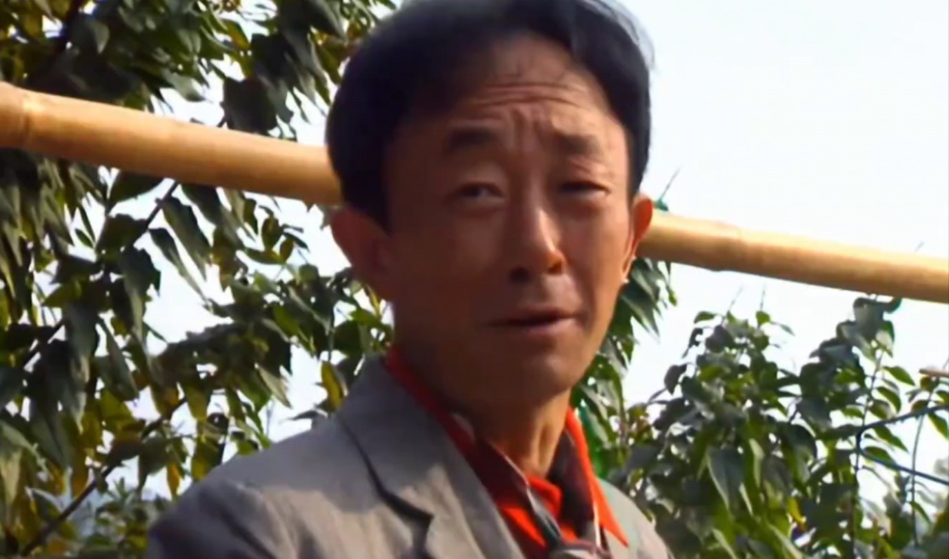 梅老坎带了一笔巨款回家,结果被媳妇全部收缴 #山城棒棒军,.影视解说