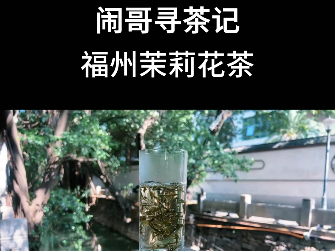 【闹哥寻茶记】带你来看福州茉莉花茶哔哩哔哩bilibili