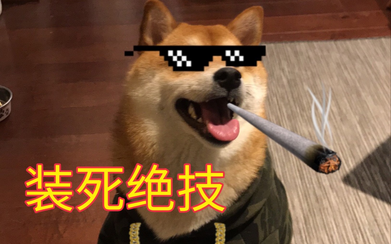 活动作品biu柴犬中枪演员的诞生