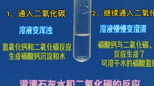 澄清石灰水制作过程 哔哩哔哩 つロ干杯 Bilibili