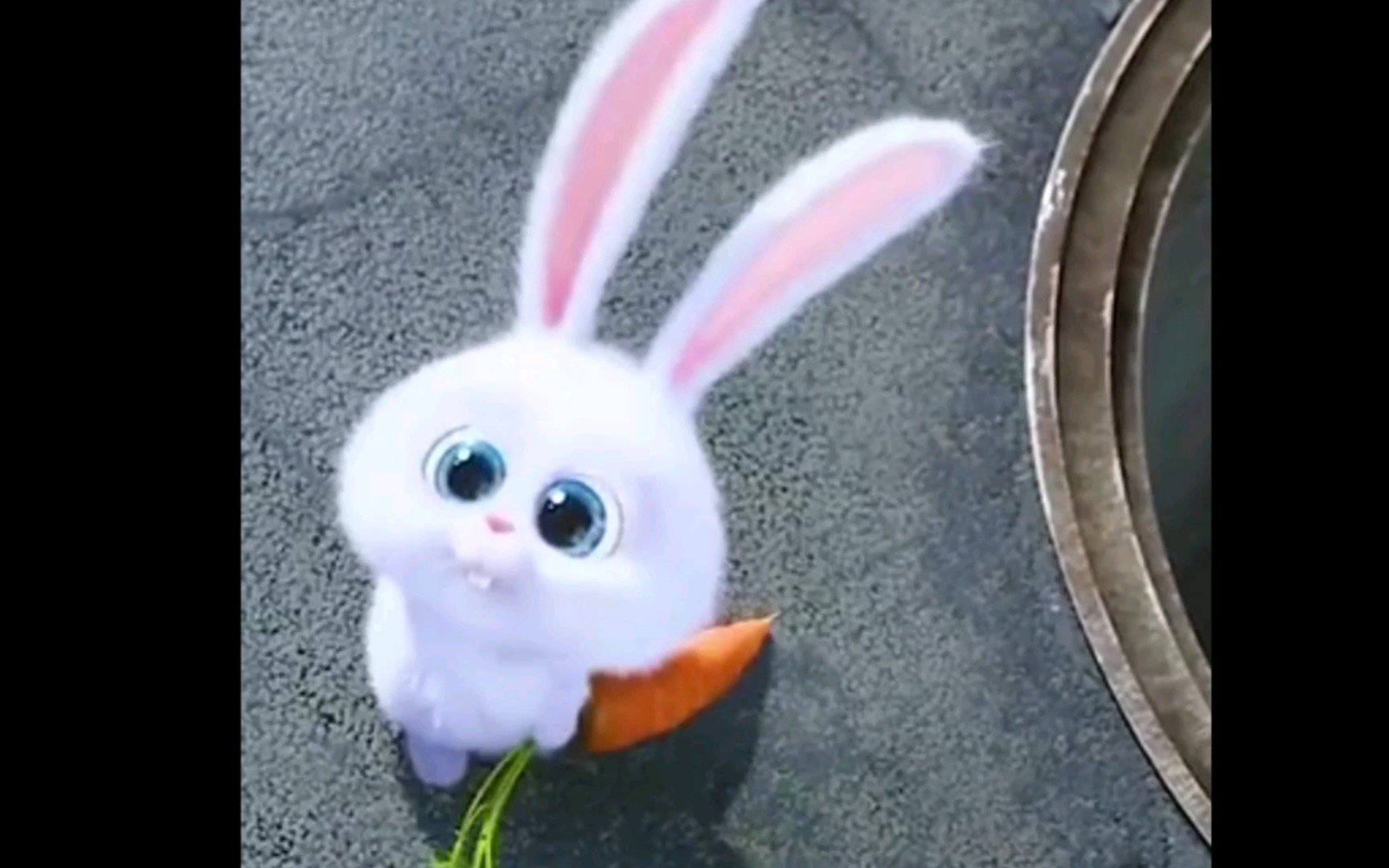 国产兔子动画片图片