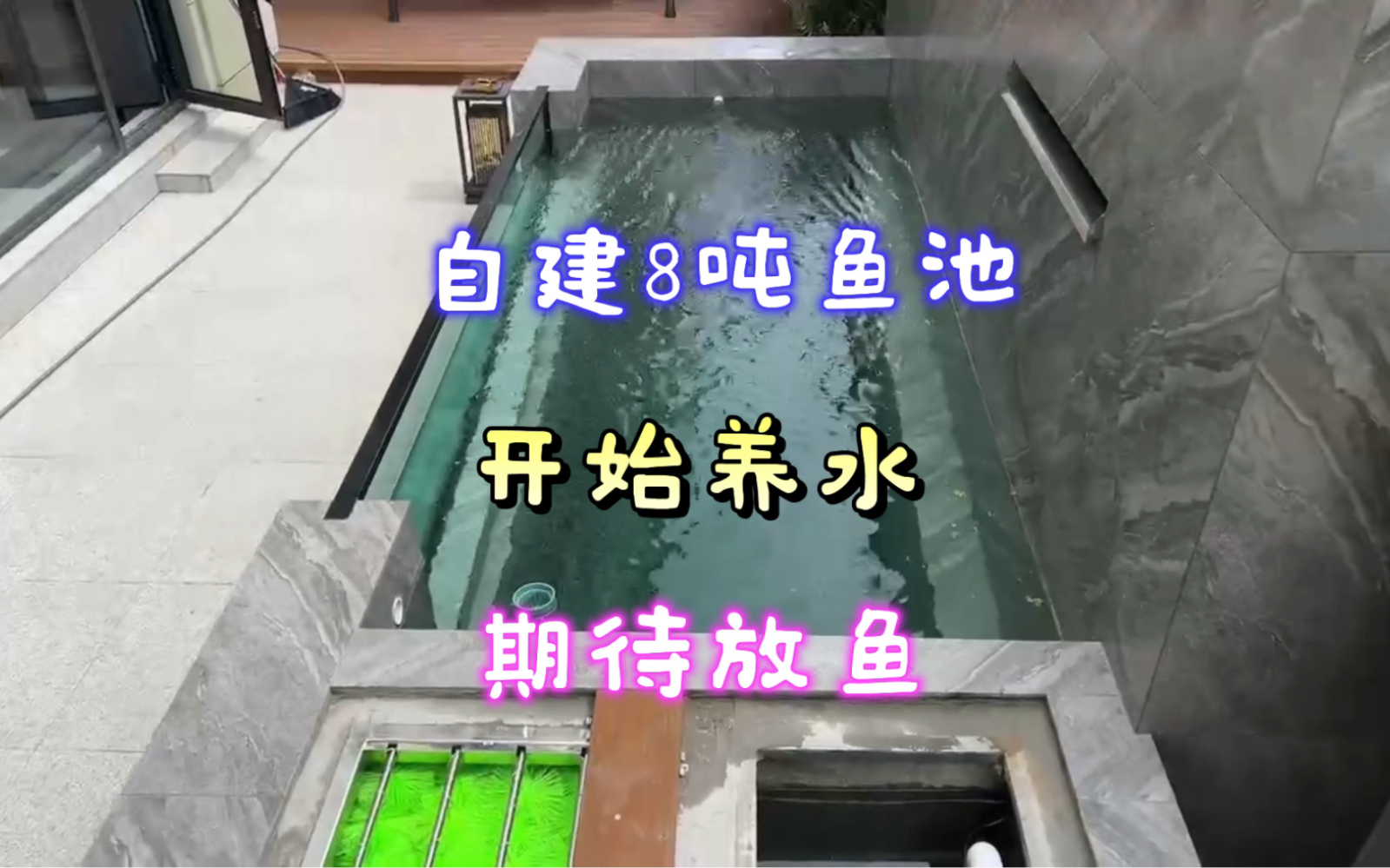 帮河南粉丝自建鱼池,8吨水体4仓过滤,长方形结构玻璃看面很精致哔哩哔哩bilibili