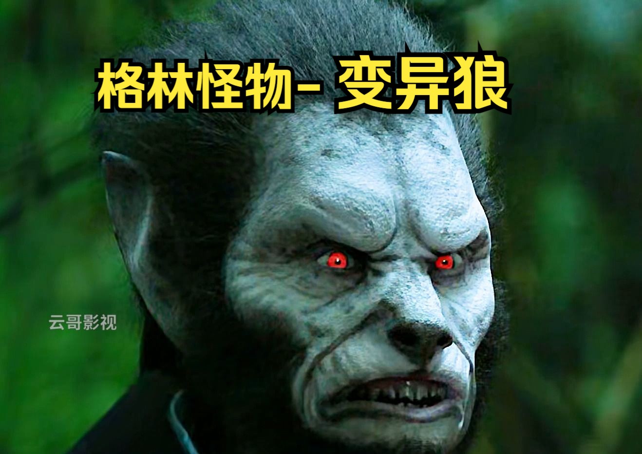 格林怪物-变异狼-云哥影视-云哥影视-哔哩哔哩视频