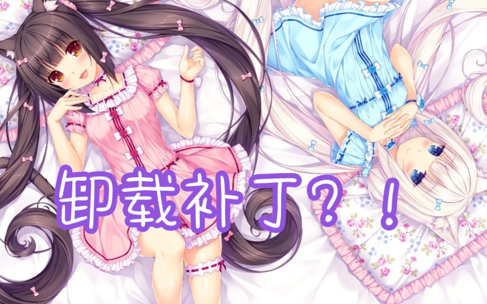 [图](全网首发)Nekopara 教你卸载补丁？！