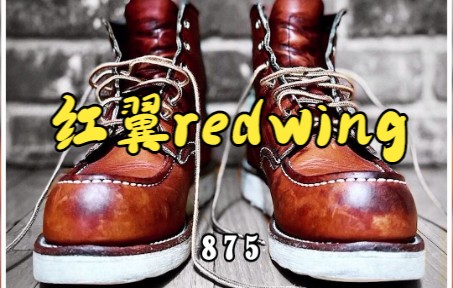 今天来聊一聊,红翼redwing!哔哩哔哩bilibili