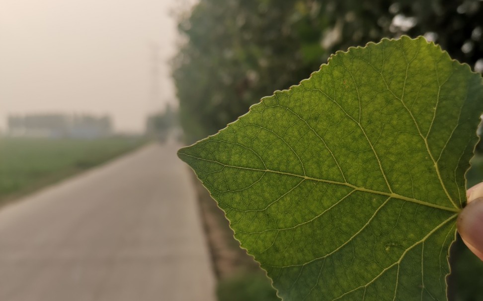 [图]在每一个想你的夜晚，唱一首歌给你咯苏打绿《无眠》，