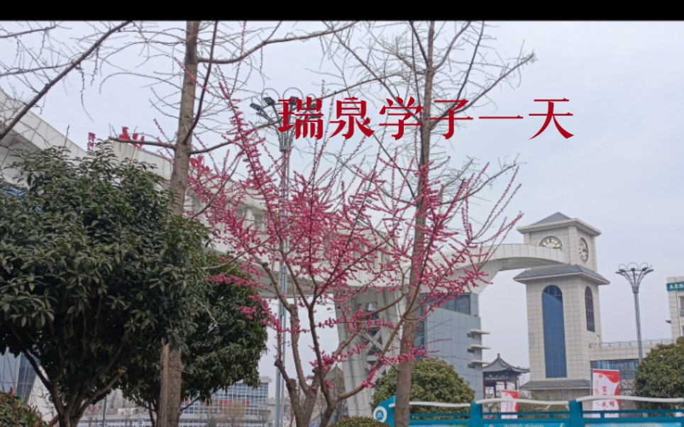 [图]#瑞泉中学 One Day of 高中生