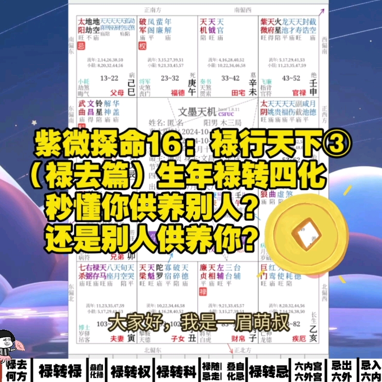 紫微探命16:禄行天下③(禄去篇)从生年禄转四化,秒懂你供养别人?还是别人供养你?哔哩哔哩bilibili