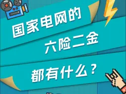 国家电网的六险二金都有什么？