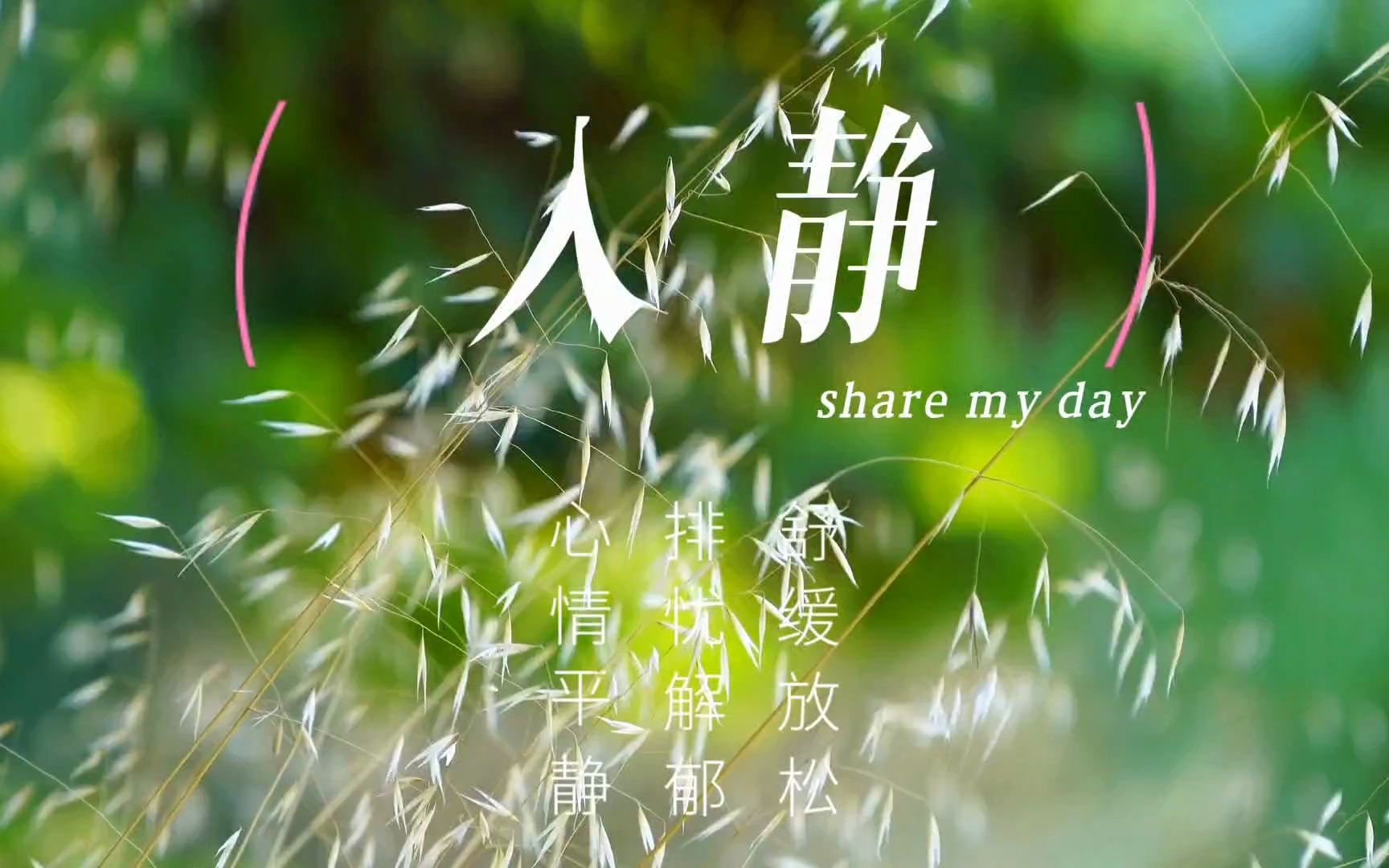 【音乐静听】09禅意纯乐《入静》舒缓放松排忧解郁心情平静哔哩哔哩bilibili