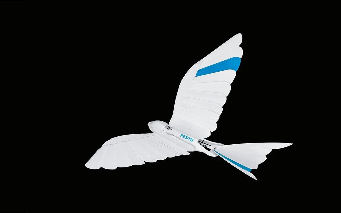 [仿生机器]:雨燕