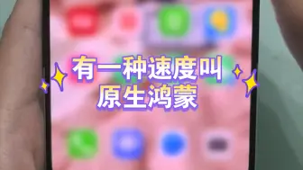 Download Video: 鸿蒙next连开50款应用，全程手不残