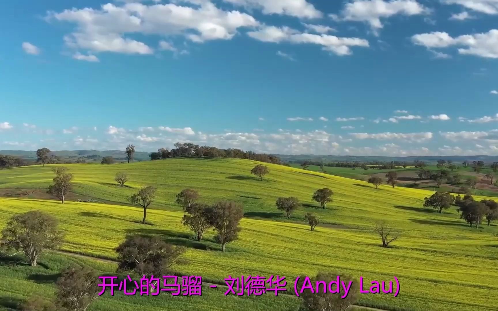 开心歌曲(开心歌曲2024最火流行歌曲)