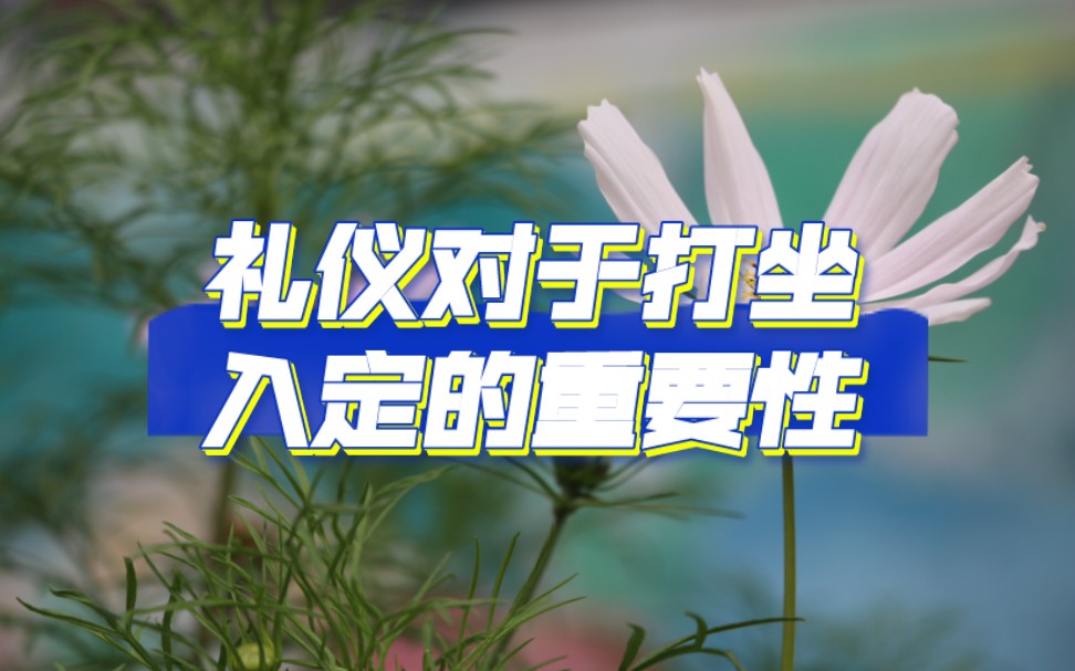 礼仪对于打坐入定的重要性哔哩哔哩bilibili