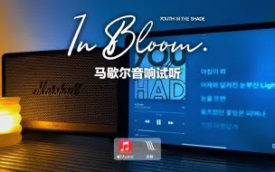 Download Video: 马歇尔音响试听｜In Bloom - ZB1（ZEROBASEONE）