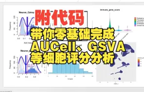 Download Video: 09（附代码）（第二讲）带你0基础完成AUcell、GSVA、Addmudulescore自定义基因集等细胞评分分析精讲