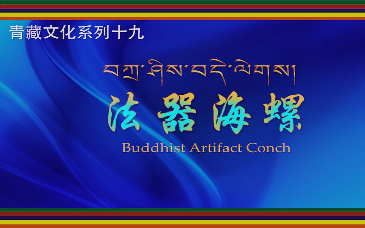 佛教法器海螺宝螺雕刻精湛选料讲究镶嵌鎏金包银精美悠扬深远的妙音召集众神的鸣示哔哩哔哩bilibili