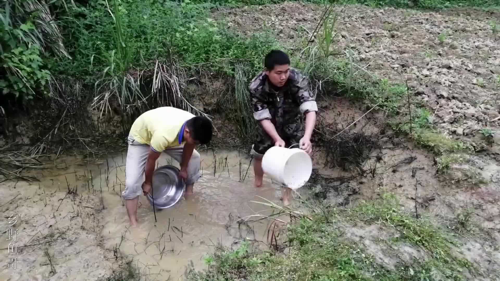 废弃多年的水坑,小伙把水舀干,水下野货很诱人,抓的停不下来了哔哩哔哩bilibili