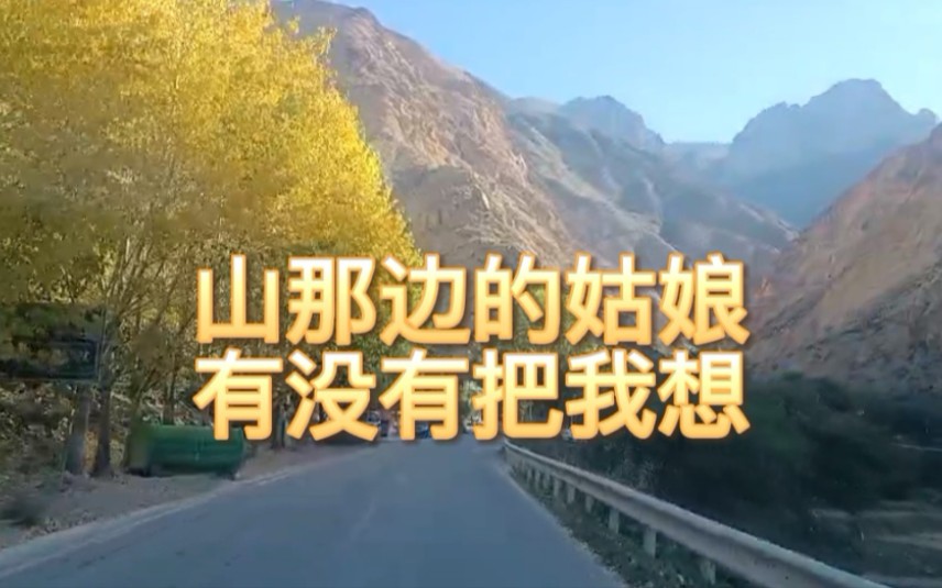 [图]三首镐天带山的歌曲，山那边的姑娘，是否把我想