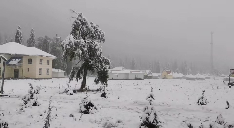 [图]新疆六月飞雪啦！