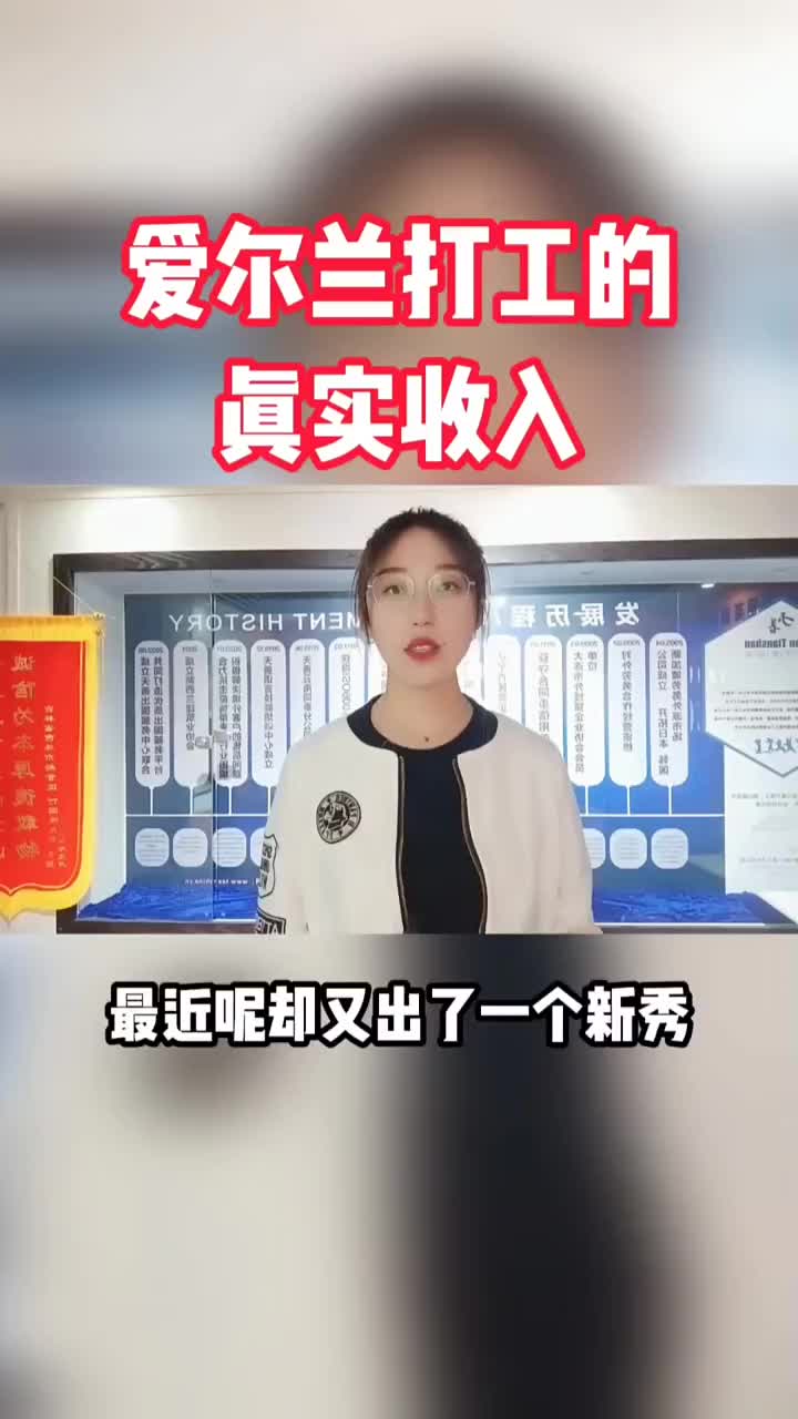 爱尔兰打工的真实收入哔哩哔哩bilibili