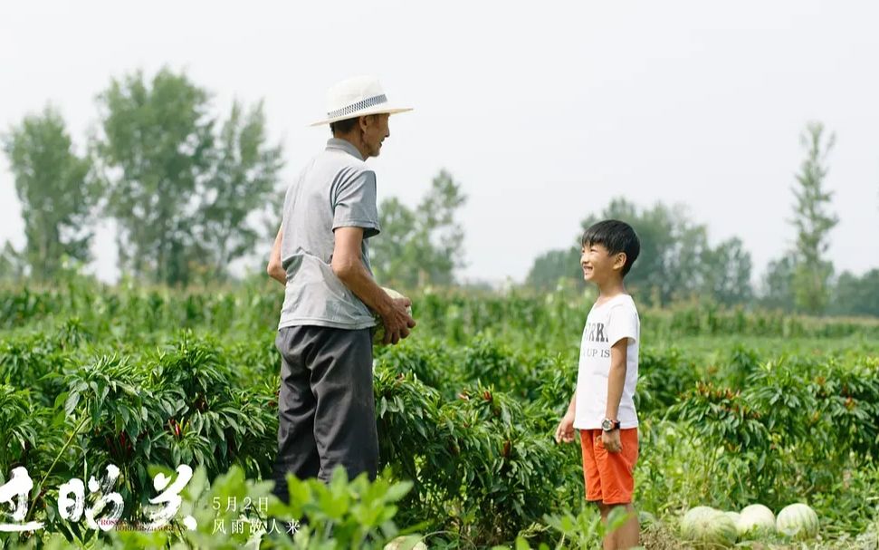 高分小成本电影《过昭关》,一个农村老人的强悍人生_哔哩哔哩_bili