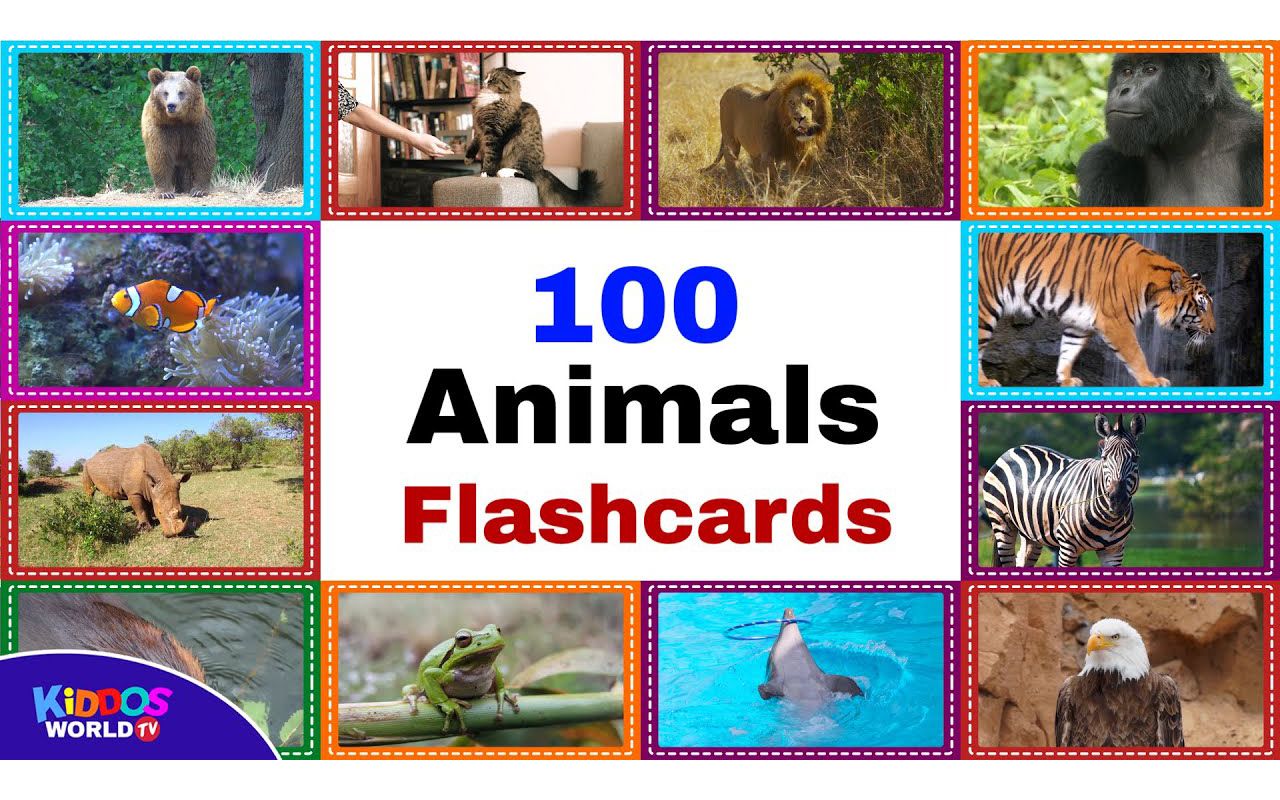 [图]100 Animal Flashcards for Kids - Animals Names and Sounds for Toddlers