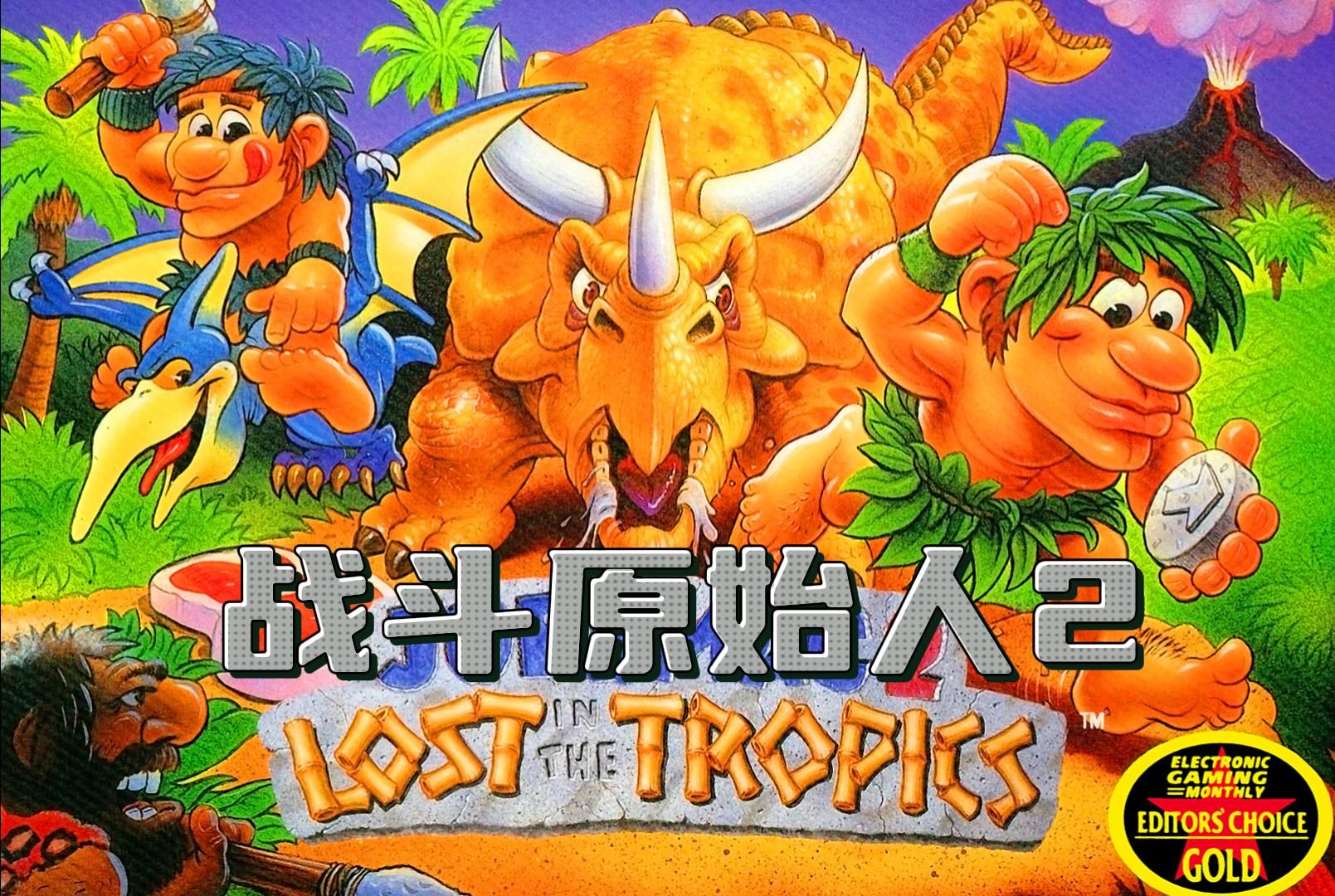 sfc超级任天堂怀旧游戏 战斗原始人2(joe and mac 2) 202 瓜叔游戏