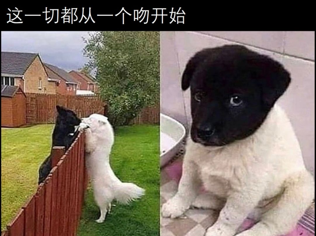 每日meme梗图(32)哔哩哔哩bilibili