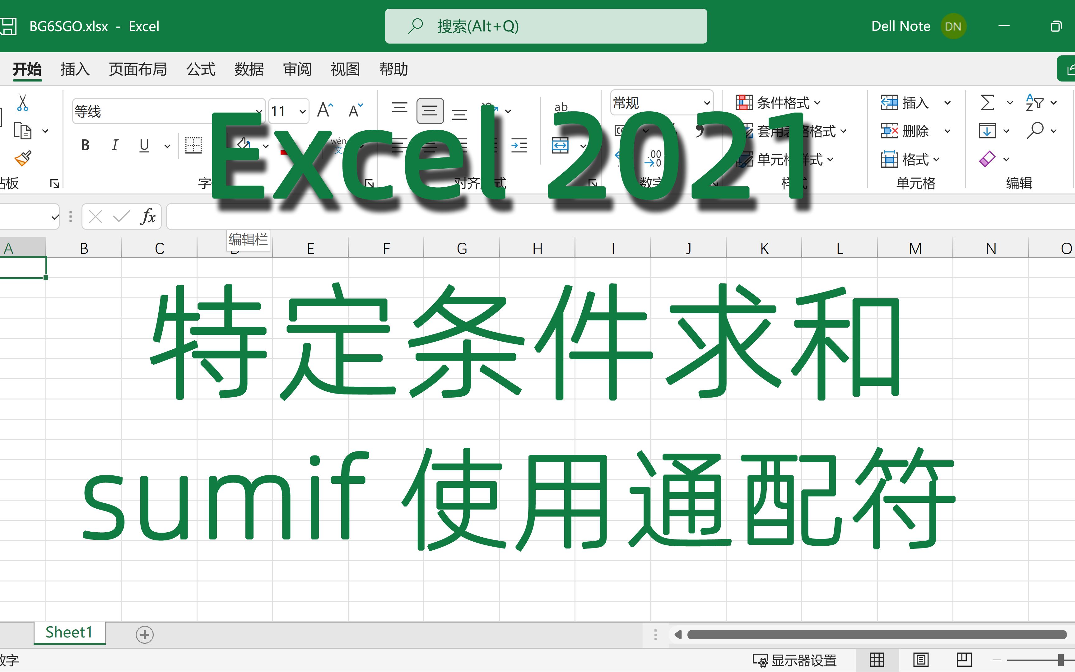 Excel 2021中特定条件求和函数sumif使用通配符求和哔哩哔哩bilibili