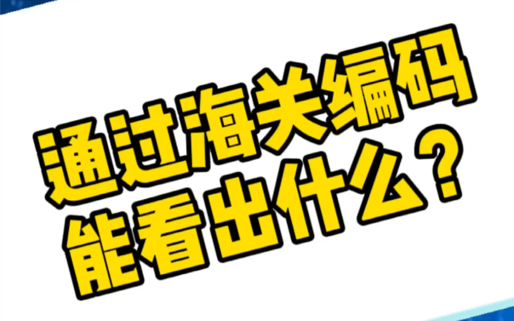 小杨讲外贸:通过海关编码能看出什么?哔哩哔哩bilibili