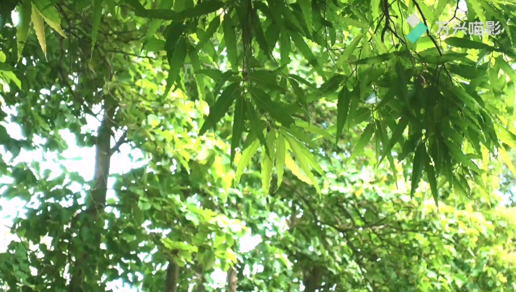 [图]空山新雨后，天气晚来秋。明月松间照，清泉石上流。