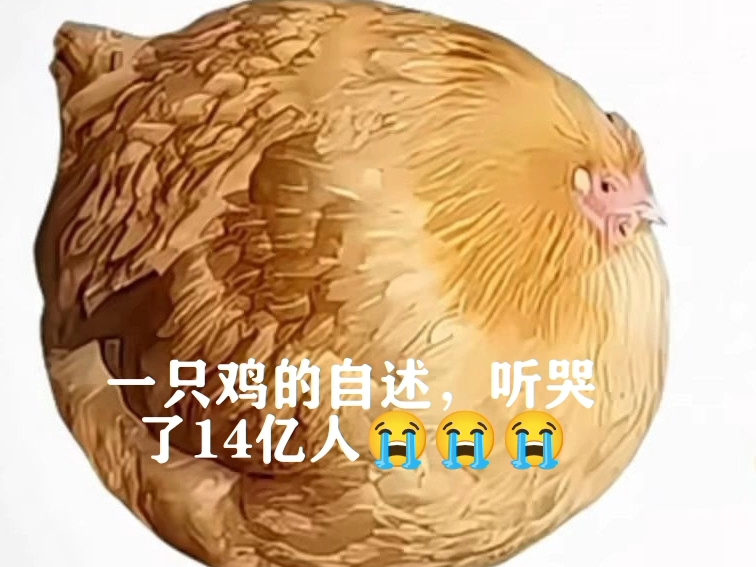 咯咯咯咯咯咯咯咯咯咯咯咯咯咯咯咯咯咯咯咯咯咯咯咯咯咯咯咯咯咯咯咯咯咯咯咯咯咯咯咯咯咯咯咯咯咯咯咯咯咯咯咯咯咯咯咯咯咯咯咯咯咯咯咯咯咯咯咯咯咯咯 #忧郁的母鸡