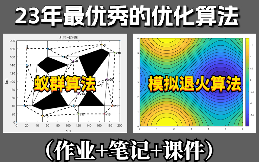 【蚁群算法+模拟退火算法】今年最值得学习的优化算法,遗传算法、蚁群算法、粒子群优化、模拟退火算法结合!清华大佬带你快速上手——人工智能|机器...