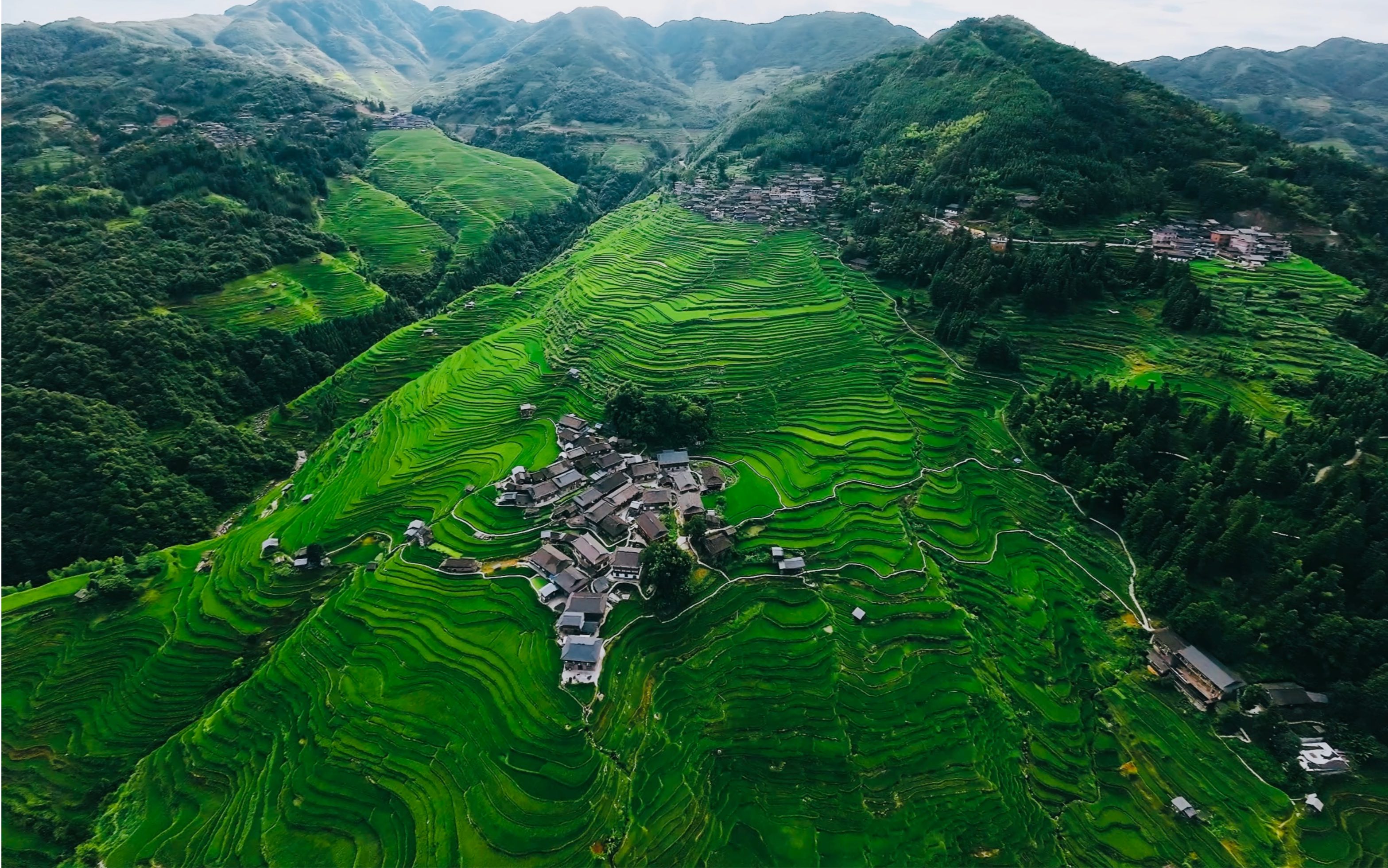 [图]加榜梯田-大山深处的神仙秘境