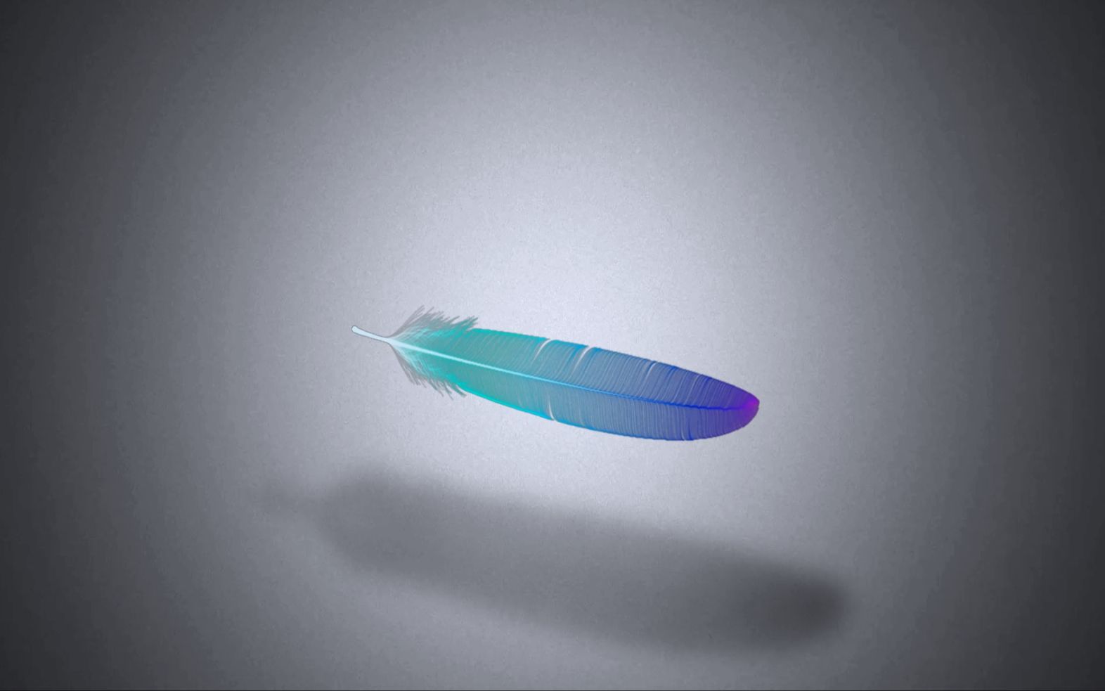 一片羽毛的音乐修养 || processing 音乐可视化_哔哩哔哩_bilibili