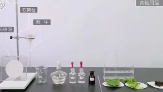 《高中教材实验》铁：检验食品中的铁元素