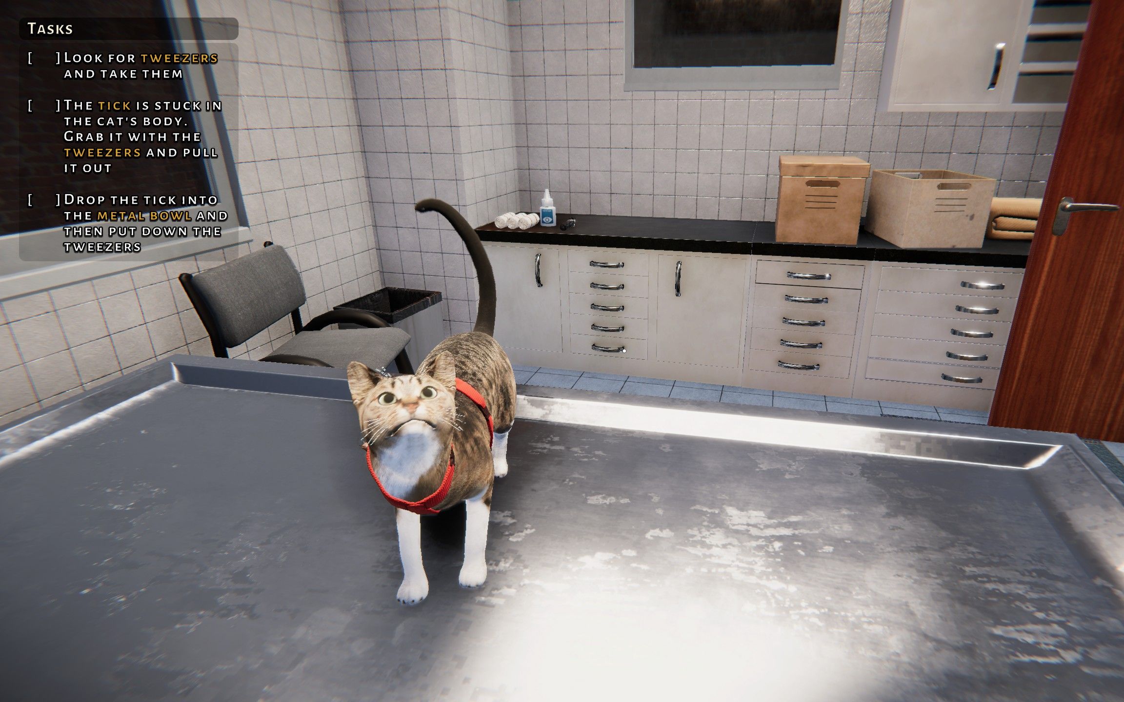 steam游戏动物庇护所试玩版试玩《animal shelter》 demo