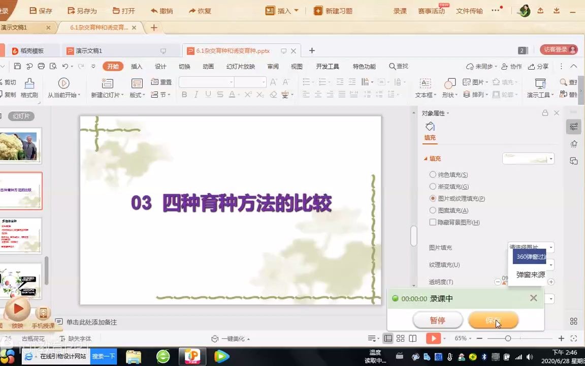 6.1杂交育种和诱变育种.pptx录课2哔哩哔哩bilibili