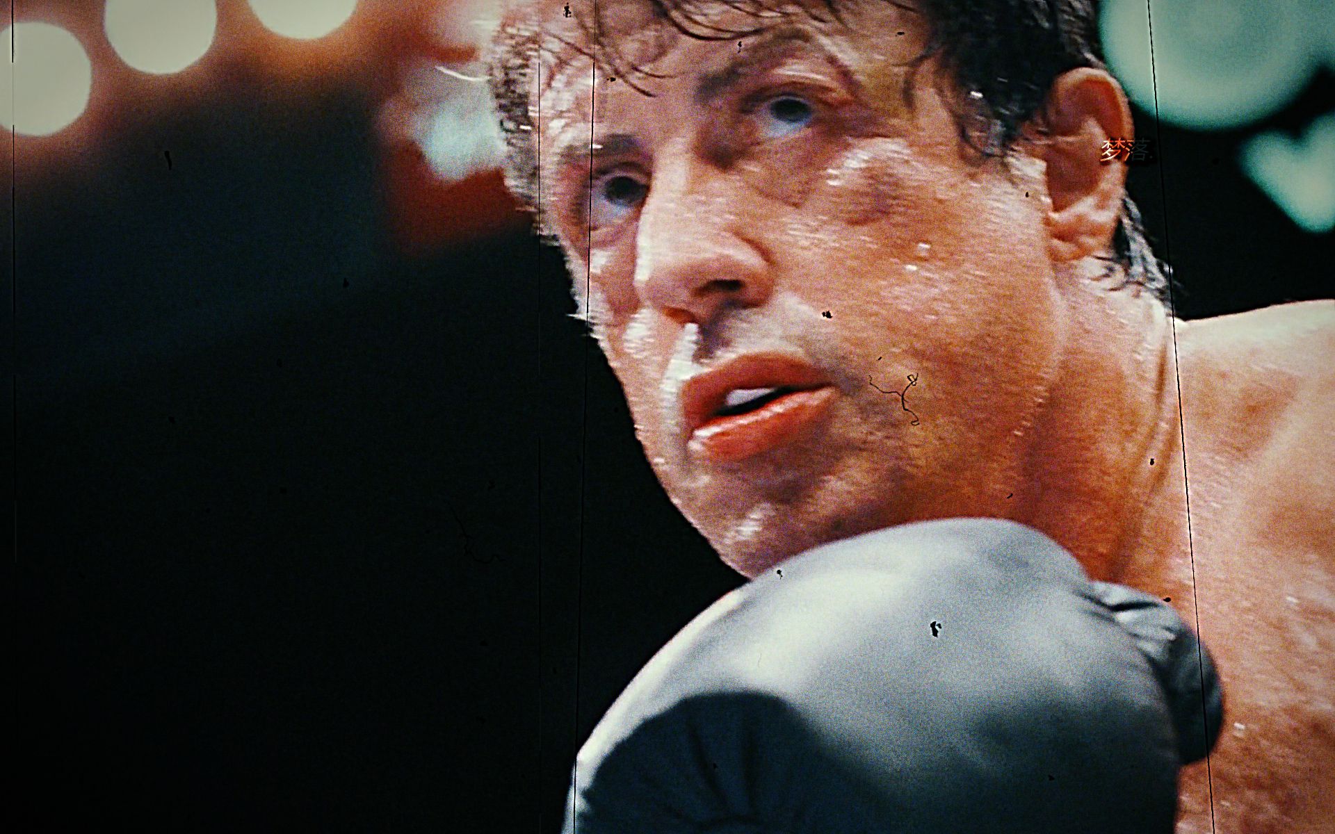 "坚定做你想做的 别人的看法都是狗屁"-ruoqie-saw-《洛奇》《奎迪》