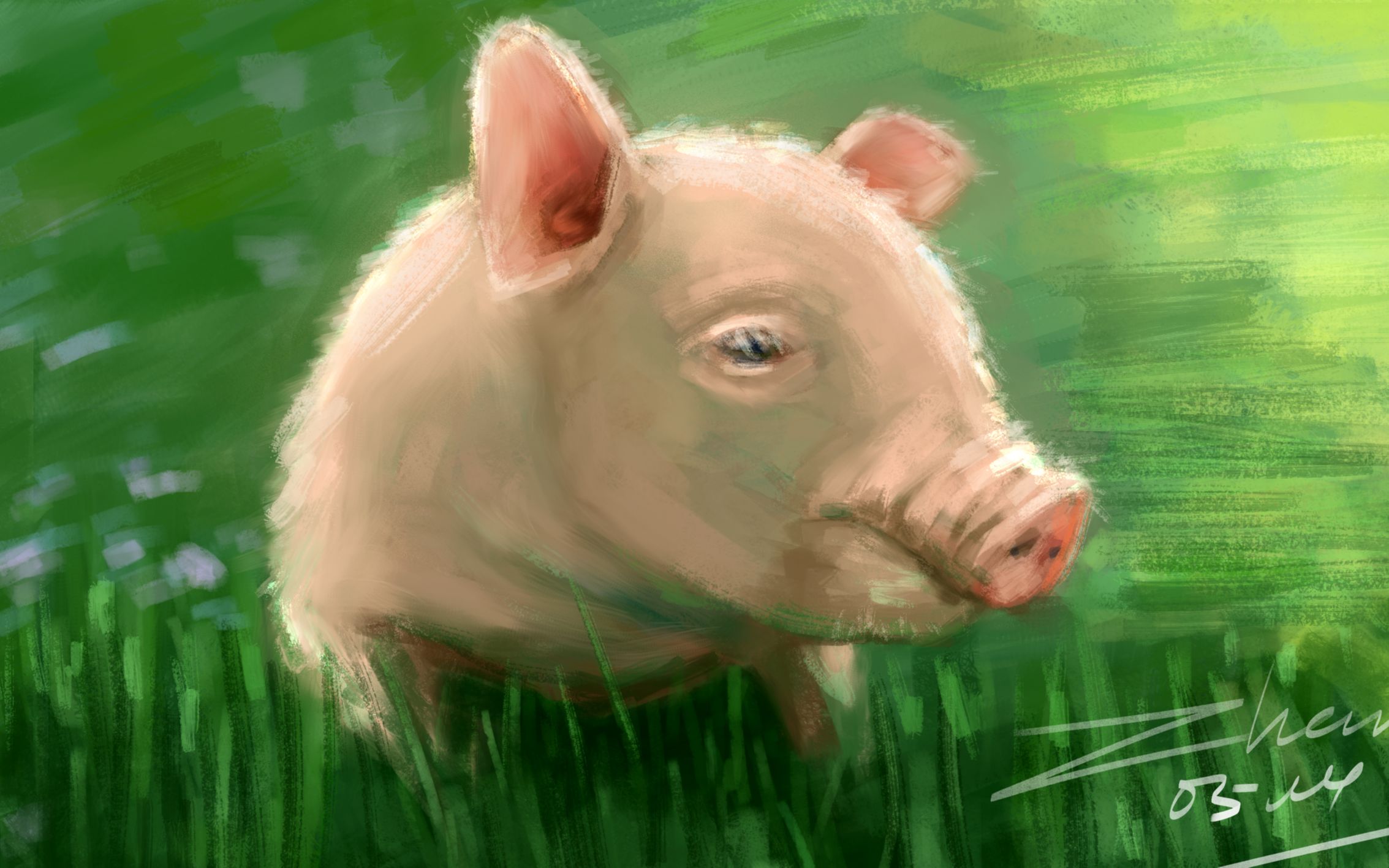 绘画日常半小时色彩练习之猪老二