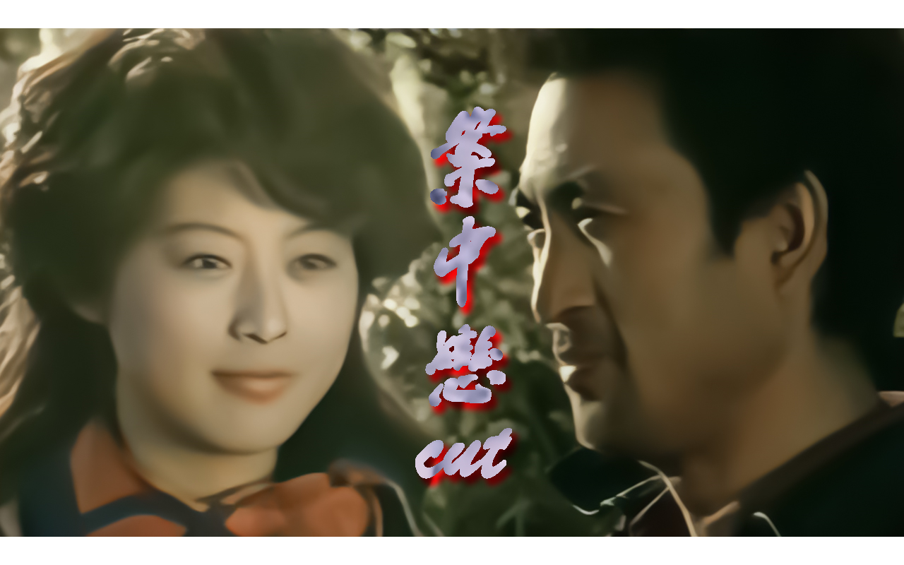 【怀旧‖案中恋‖冯郇,翟乃社,向梅】改编自岑凯伦《黄色康乃馨》 cut