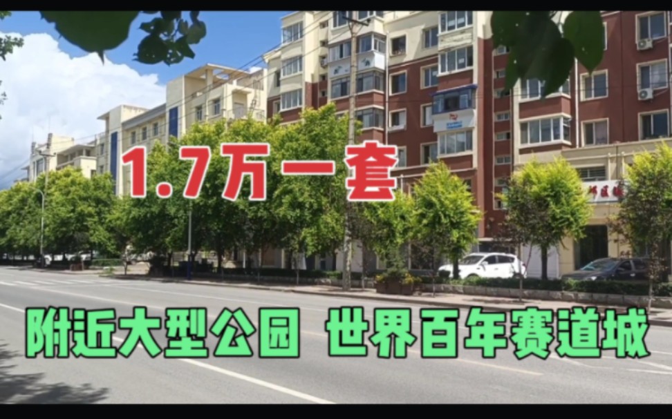 阜新房价1.7万一套房,附近有大型公园,还有世界百年赛道城哔哩哔哩bilibili