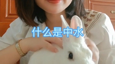 什么是中水?哔哩哔哩bilibili