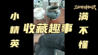 Descargar video: 收藏趣事小精英满不懂