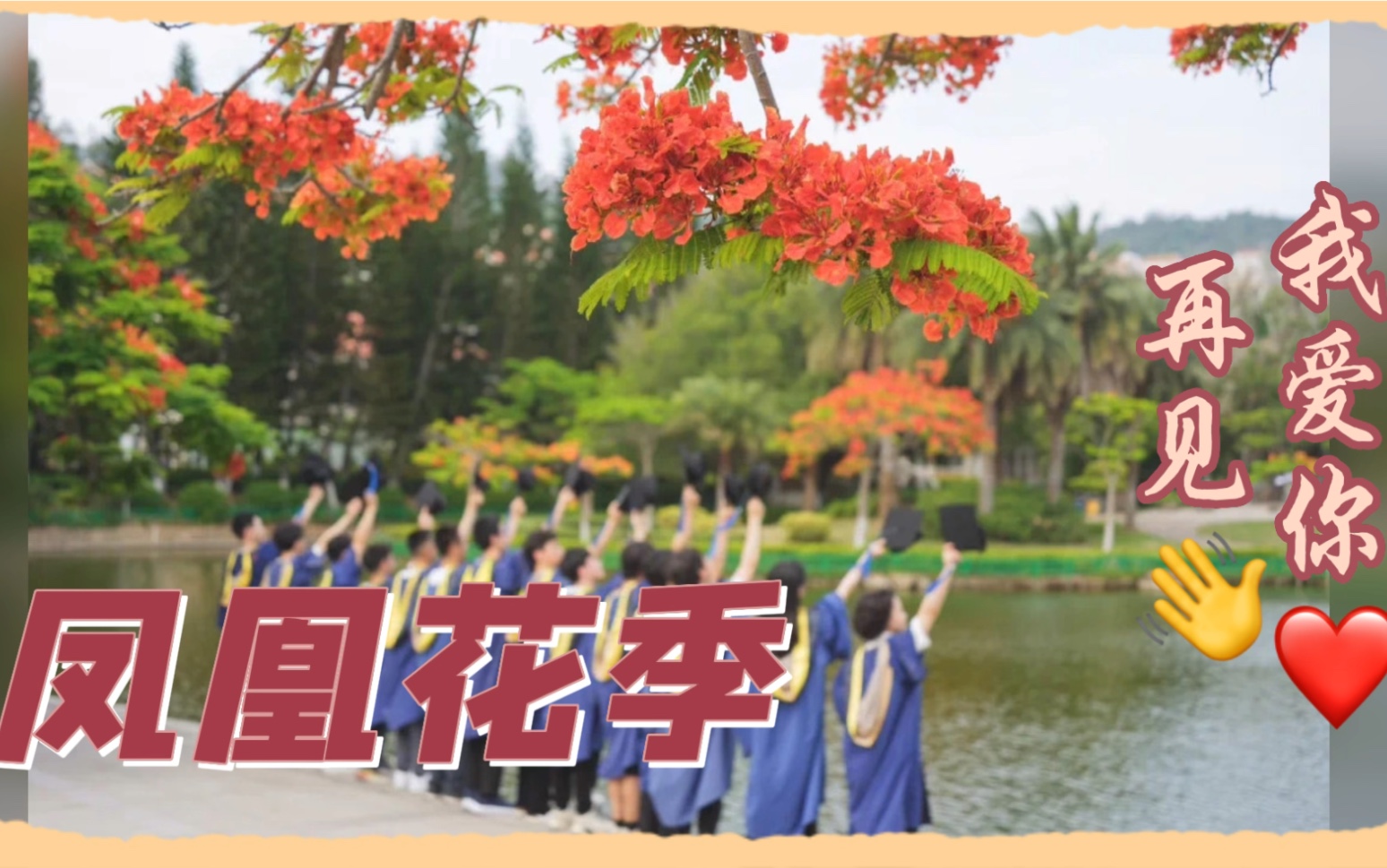 [图]《凤凰花季》我爱你再见！凤凰花开厦门大学毕业季！期待他日花开的季节里回家！