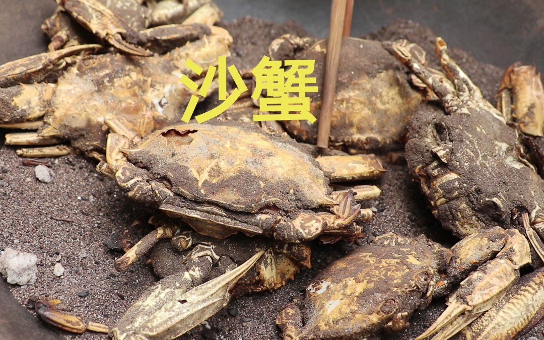沙蟹歪厨子做沙蟹吃着像鱿鱼干河沙满嘴钻