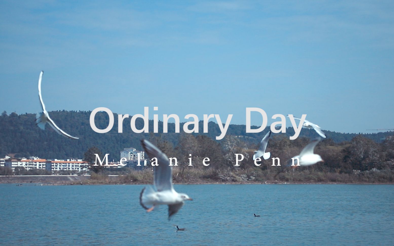 [图]自制Ordinary Day MV