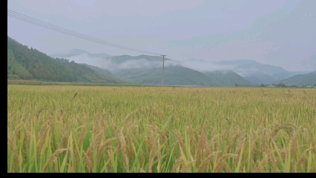 [图]“脱贫攻坚”一路走来，“乡村振兴”不是空话。《石虎子.蝶变 启航》宣传片带你走进桓仁满族自治县黑沟乡石虎子村。